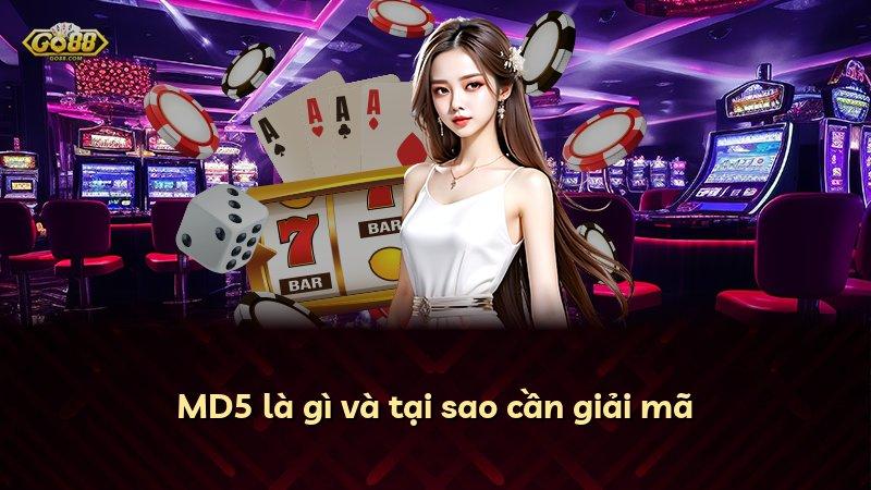 MD5 là gì và tại sao cần giải mã